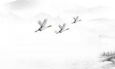 带耀字的男孩名字 好听的男宝宝名字