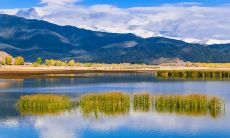 2020年农历三月十五日女宝宝八字喜土名字推荐