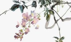 2023年属牛人健康运势如何