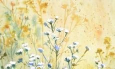 女孩五行缺土取什么名字好 女孩取名宜用字