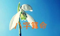 查生辰八字算命，生辰八字在线查询