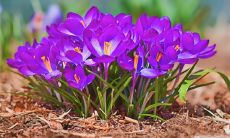 最新的李姓名字大全