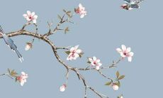 属蛇在2023年好不好