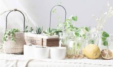 伤感的四字网名大全