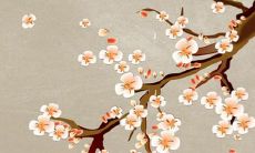 放开那个女孩主演叫什么名字