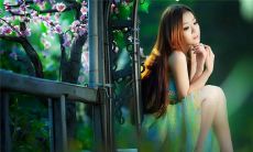 最新的姓氏名大全