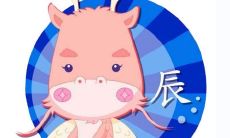 属鼠的女人属龙的婚姻如何 为何会喜欢鼠女