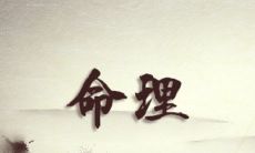 八字算命子女运势