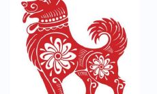 不希望别人过的比自己好的的生肖有哪些 见不得人好