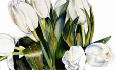 鸡年费姓女孩名字大全