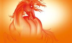 属马女高考书桌如何布置 书桌摆放位置有什么讲究