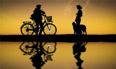 起一个搞笑的网名