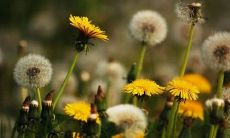 出生时辰看一生命运