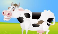 自己养活自己的生肖女  自力更生