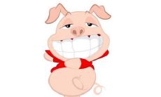 属猪人男孩吉祥的名字宜用字