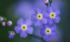 有深意的名字分享