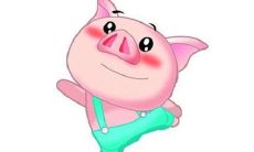 属猪的男孩出生吉日