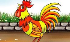 属鸡男孩几点出生优秀？