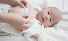 猪年的男宝宝名字如何取？