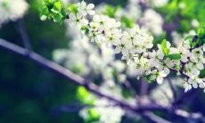 2020年农历六月初四出生的女孩五行起名字大全