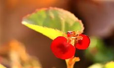 梦见大海把我的东西都冲走是什么意思