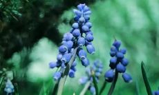 梦见妈妈受伤，梦见母亲受伤