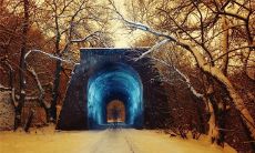 微信群搞笑名称大全