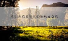 生辰八字查询五行取公司名字