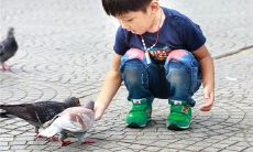 梦见和爱人离婚是什么意思