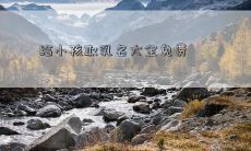 给小孩取乳名大全免费