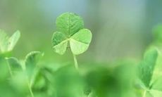 梦见去世的父亲在微笑是什么意思