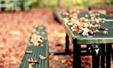 不同的人梦见飞机坠落是什么征兆