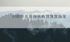 2022年五月出生的男宝宝取名