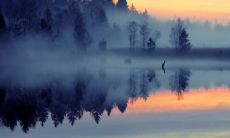 梦见自己会轻功飞起来 梦见自己能离地飞行