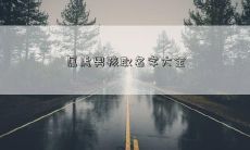 属虎男孩取名字大全