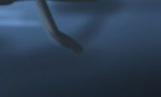 糜姓取名怎么取 糜姓名字大全