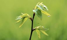 梦见自己女儿大哭