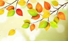 梦见笔是什么意思