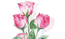 起名字生辰八字免费