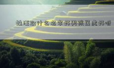 姓汪取什么名字好男孩属虎好听