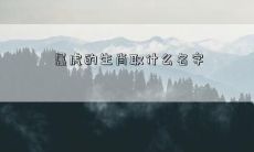 属虎的生肖取什么名字
