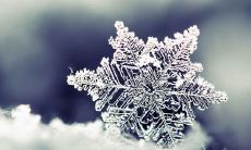 群的名字怎么取优秀