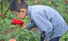 如何为男孩取英文名字？