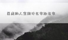 属虎的人宜用什么字取名字