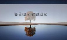 免费起名 在线起名