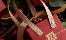 谷神星星座查询