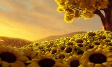 带私字的女孩名字有哪些 带私字女孩起名