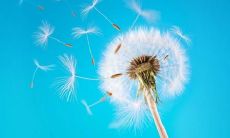 梦见跟陌生人结婚暗示什么？