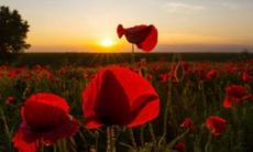 空间装饰公司起名字大全