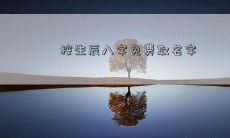 按生辰八字免费取名字